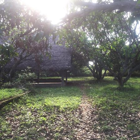 Art Forest Hotel Auroville Luaran gambar