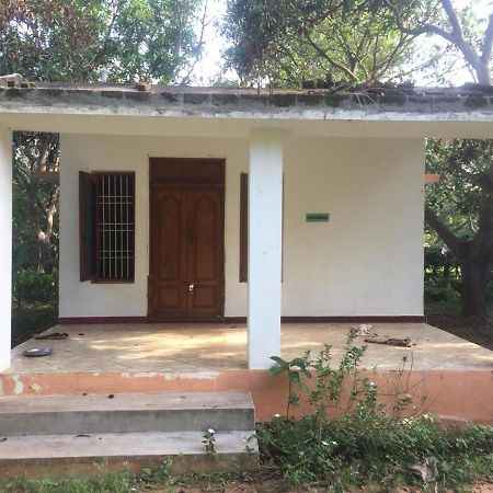Art Forest Hotel Auroville Luaran gambar