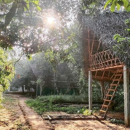 Art Forest Hotel Auroville Luaran gambar