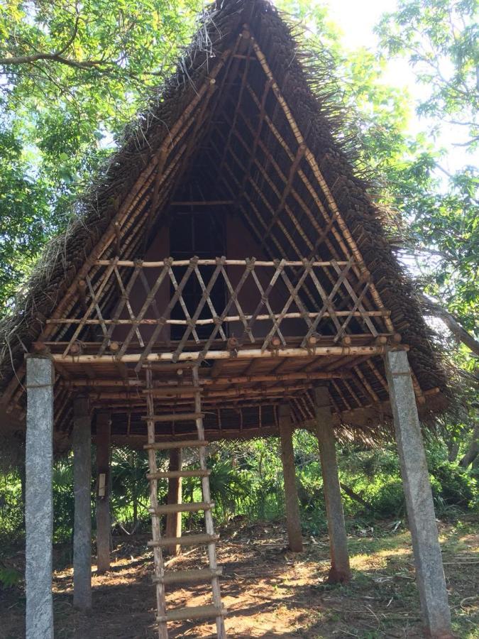 Art Forest Hotel Auroville Luaran gambar