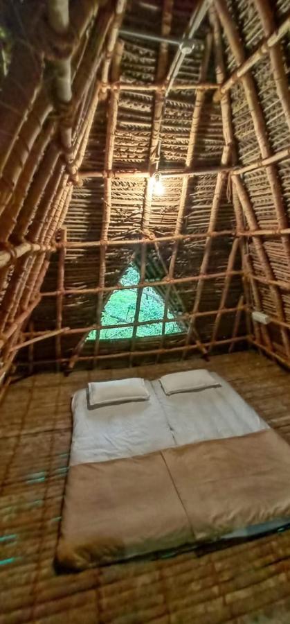 Art Forest Hotel Auroville Luaran gambar