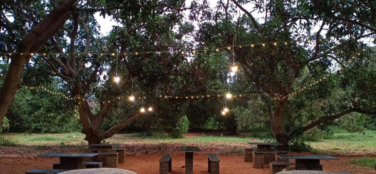 Art Forest Hotel Auroville Luaran gambar