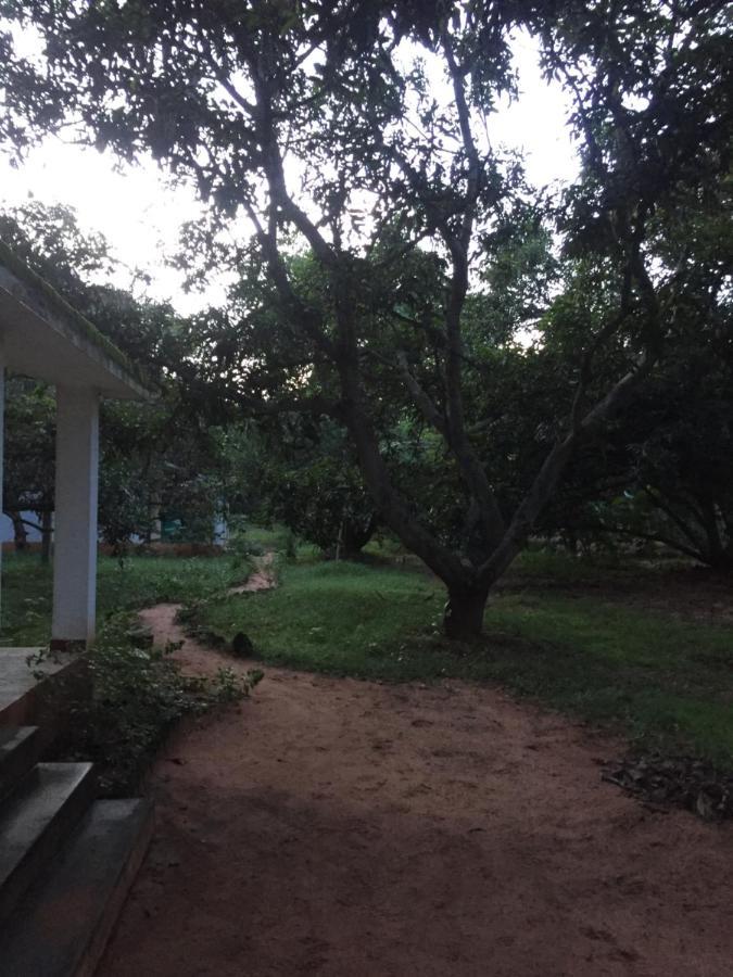 Art Forest Hotel Auroville Luaran gambar