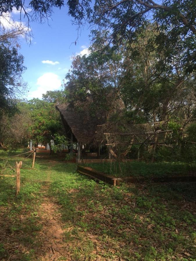 Art Forest Hotel Auroville Luaran gambar