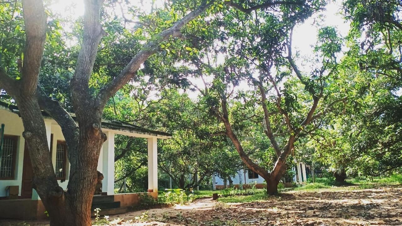 Art Forest Hotel Auroville Luaran gambar
