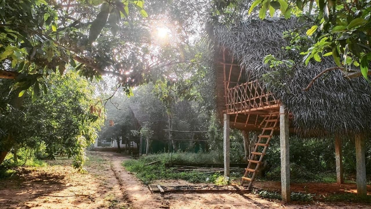 Art Forest Hotel Auroville Luaran gambar