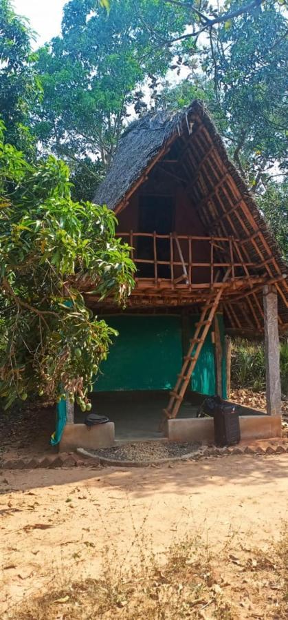 Art Forest Hotel Auroville Luaran gambar